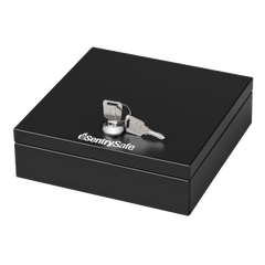 SentrySafe DS-1 Cash Box